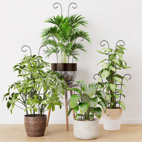 Trlzey four-pack trellis shortened to 13.6in for small pots and starter climbers