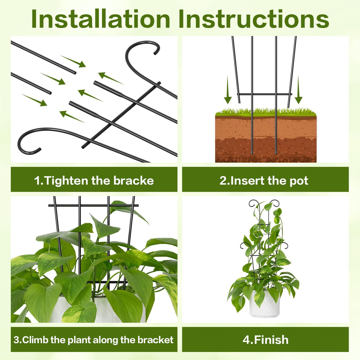 Trlzey vertical garden with pothos framed by trellis