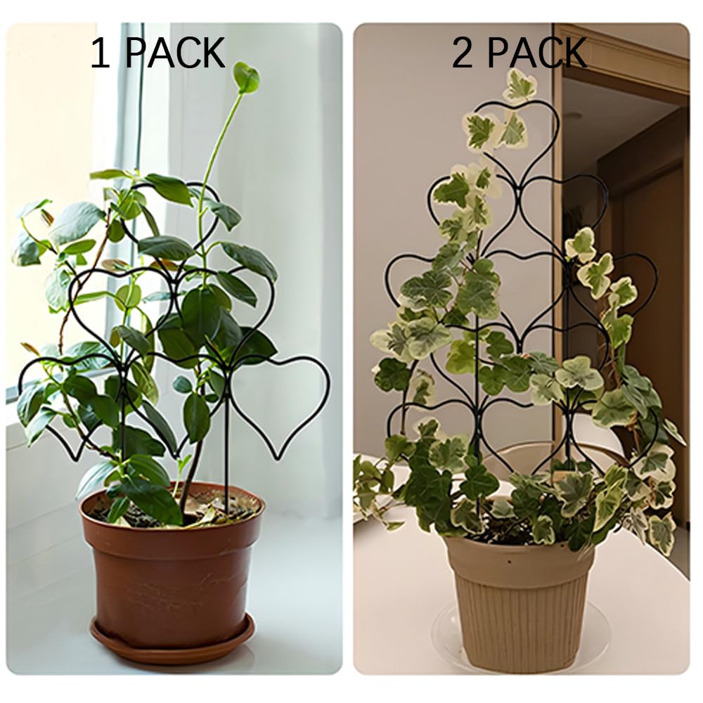 Trlzey Vertical Growth Support decorates ivy and flowers while keeping stems upright.