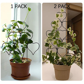 Trlzey Vertical Growth Support decorates ivy and flowers while keeping stems upright.