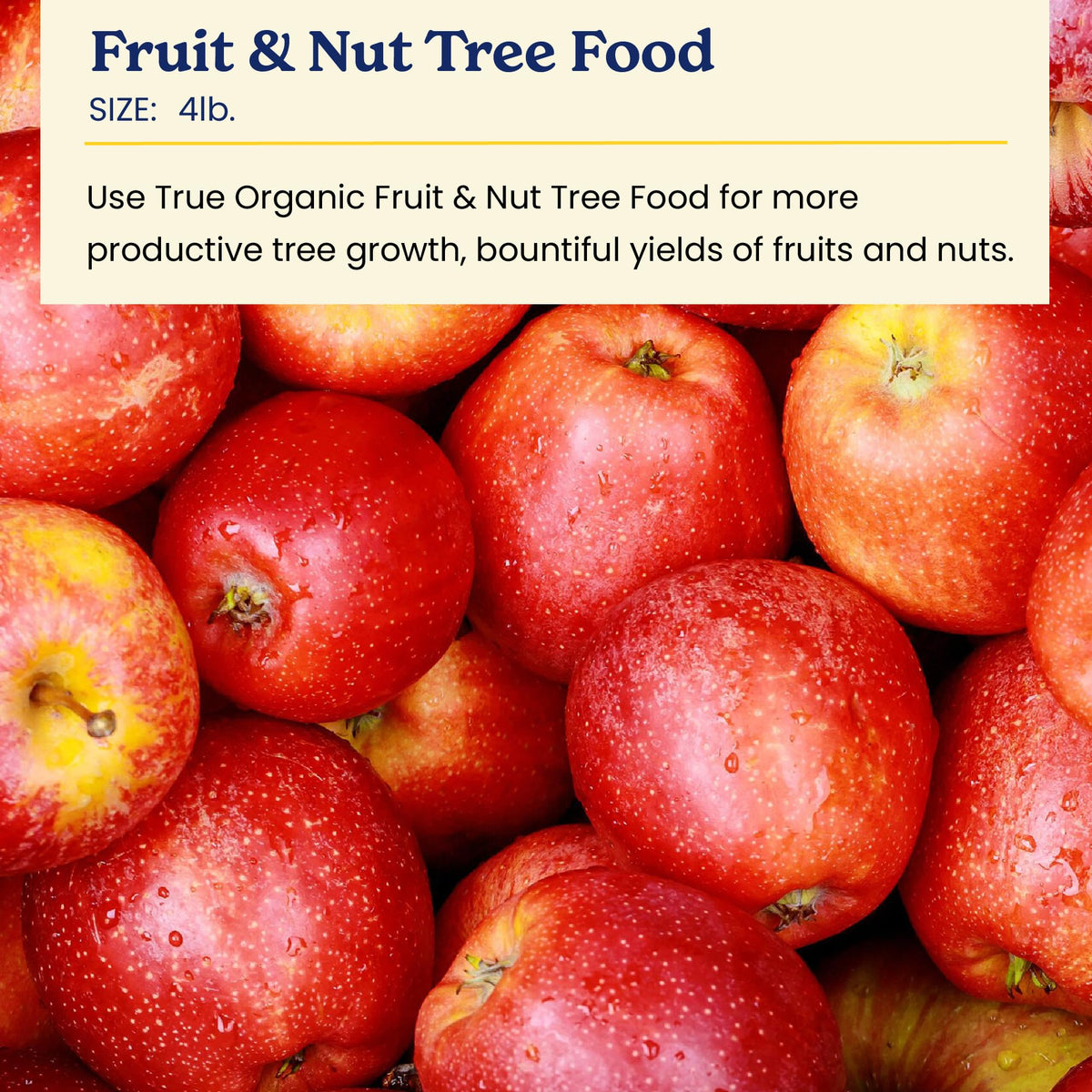 True Organic Fruit and Nut Food healthy apple tree thriving in a sunny garden