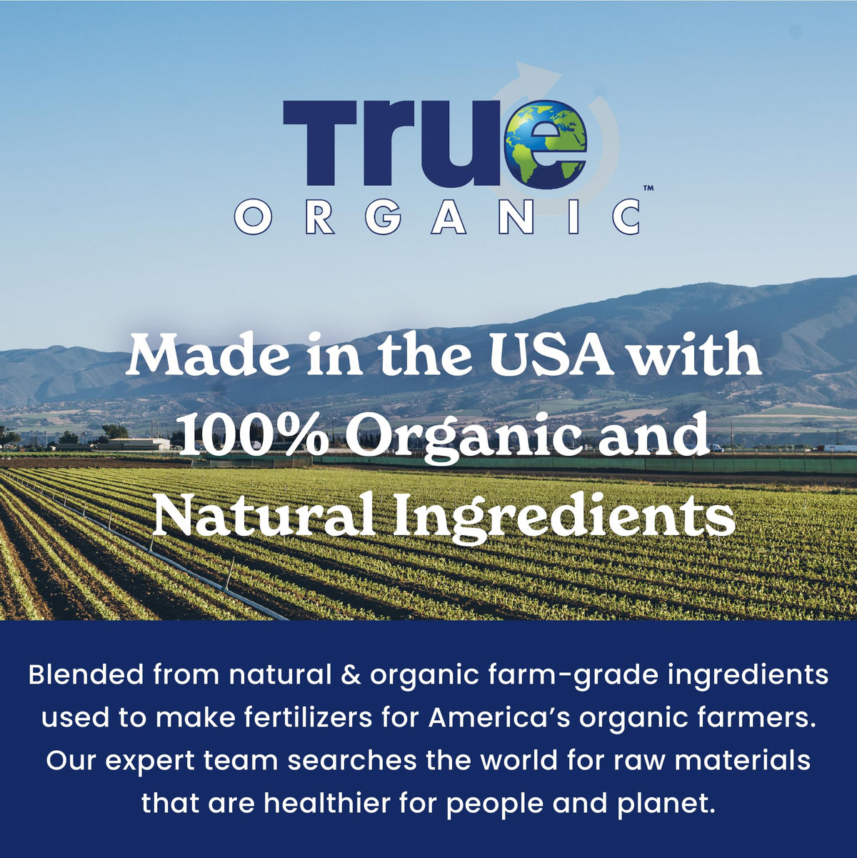 Healthy orchard canopy nourished with True Organic Fruit & Nut Food.