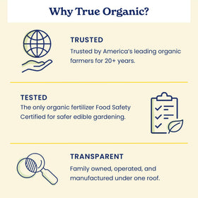 True Organic Fruit and Nut Food in-ground trees thriving in a backyard orchard