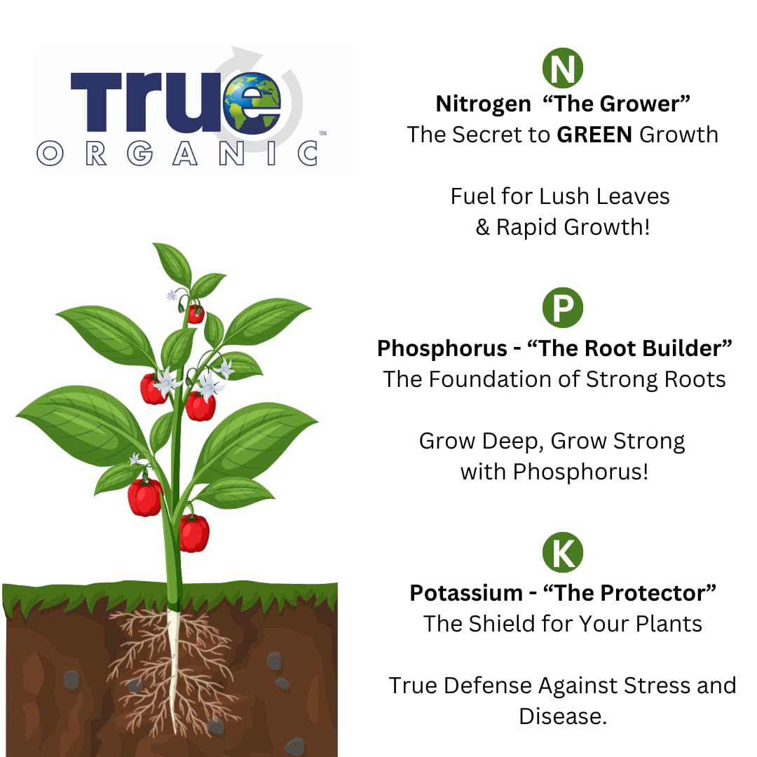 Soil and roots showing healthy engagement with True Organic starter