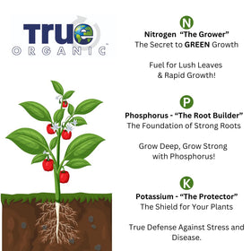 Soil and roots showing healthy engagement with True Organic starter