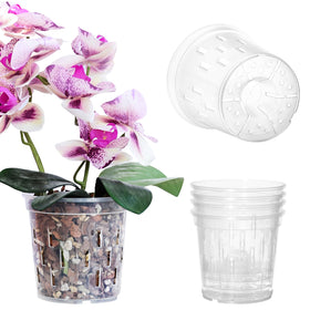 TRUEDAYS orchid pot 4-inch clear for easy root monitoring and airflow.