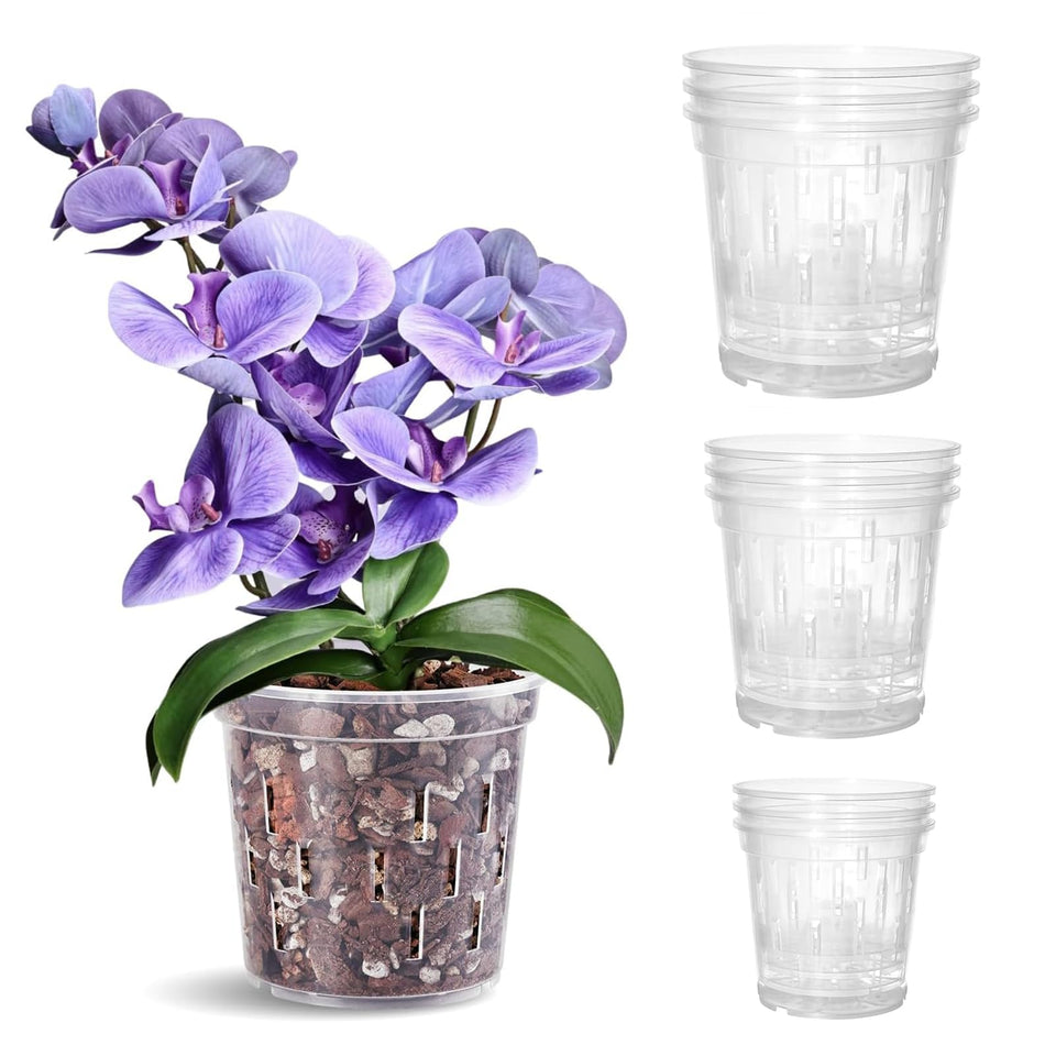 TRUEDAYS orchid pot 4-inch clear with drainage for root care