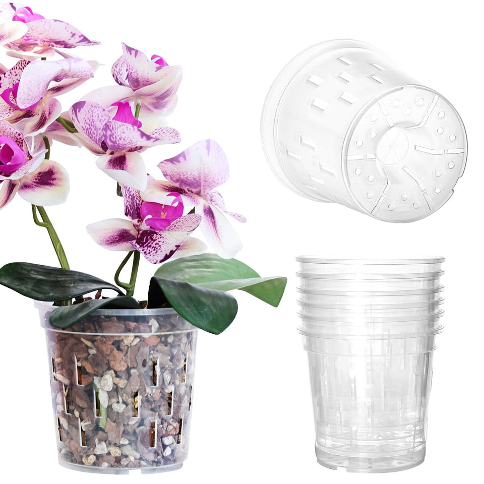 TRUEDAYS orchid pot 4-inch clear with visible drainage holes for root health