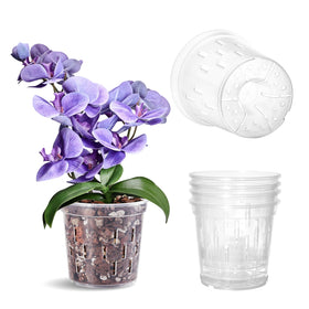 TRUEDAYS 5-inch clear orchid pot with drainage holes for healthy roots.