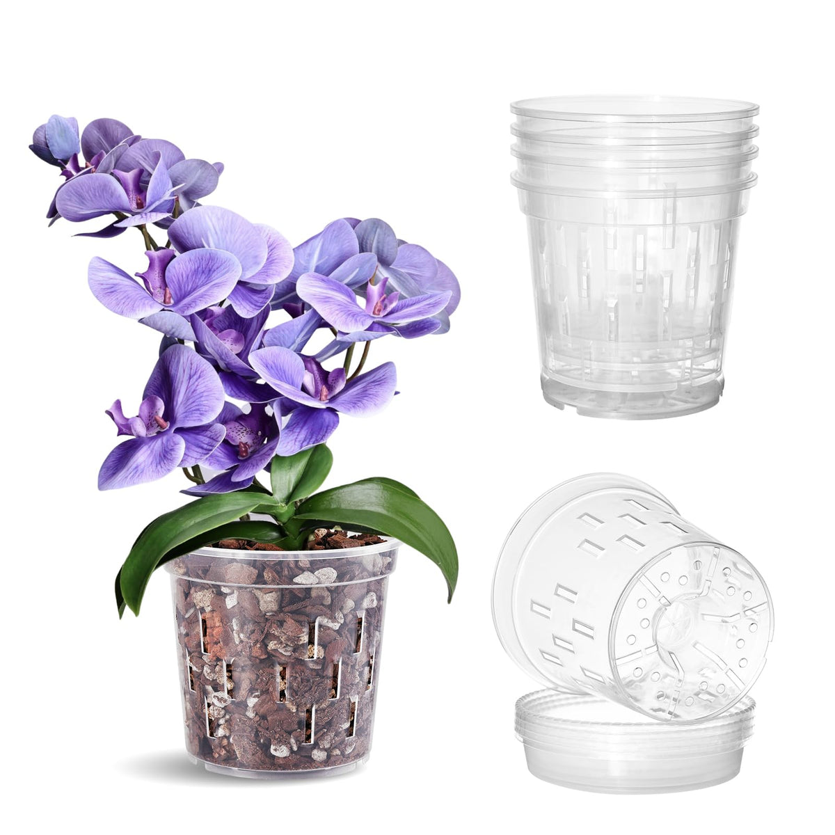 TRUEDAYS orchid pot with drainage holes supports root health and watering control