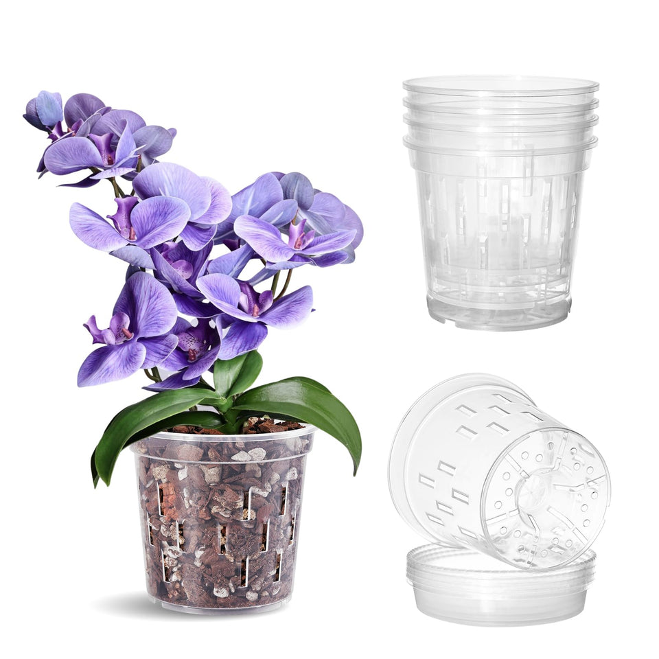 TRUEDAYS orchid pot with drainage holes supports root health and watering control