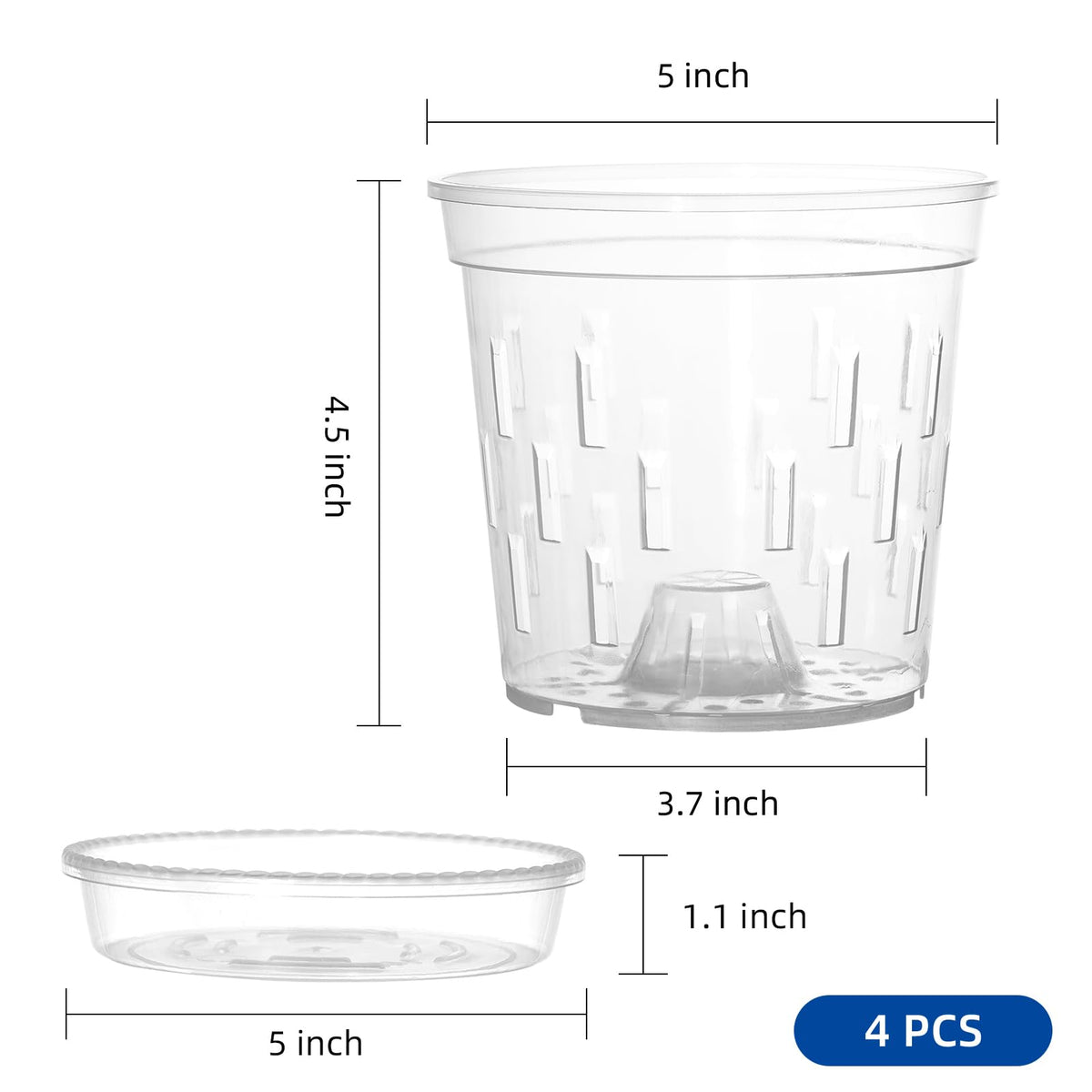 TRUEDAYS 5-inch clear orchid pot showing root visibility and moisture