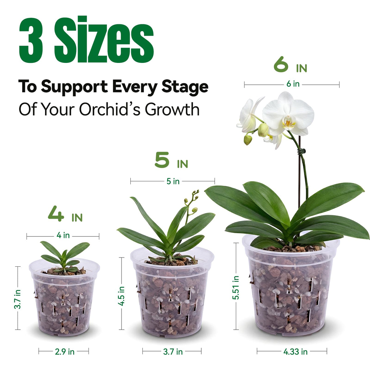 TRUEDAYS orchid pot 6-inch clear supports robust root development