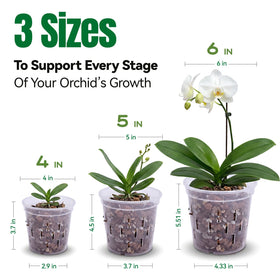 TRUEDAYS orchid pot 6-inch clear supports robust root development