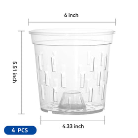 TRUEDAYS 6-inch clear view pot lets you monitor roots during growth.