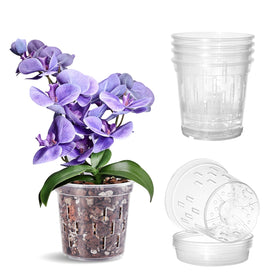 TRUEDAYS orchid pot 6inch clear for easy root observation.
