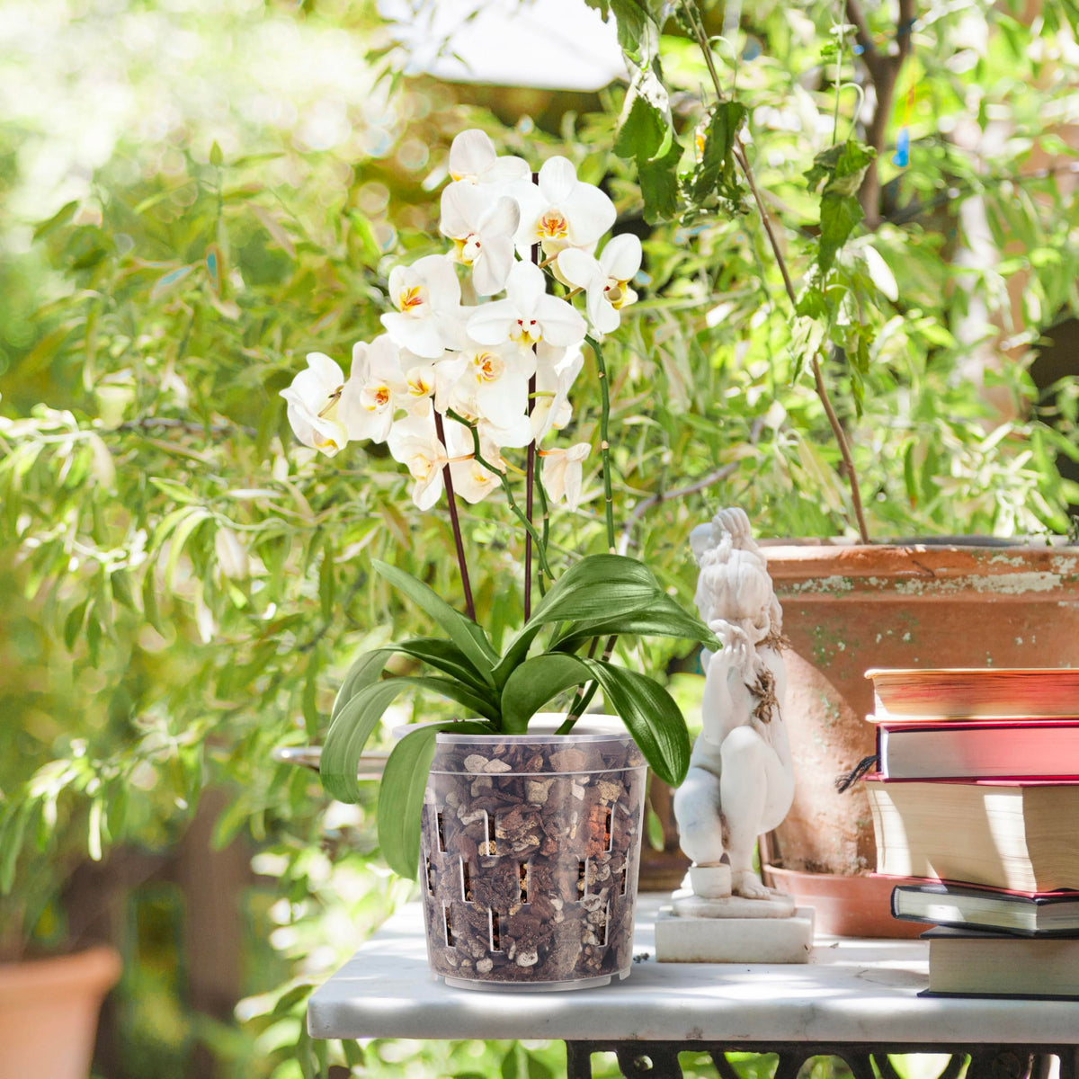 TRUEDAYS clear pot suited for indoor or outdoor plant setups.