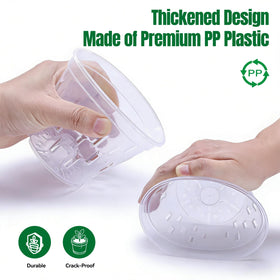 TRUEDAYS durable PP orchid pot for indoor and outdoor resilience.