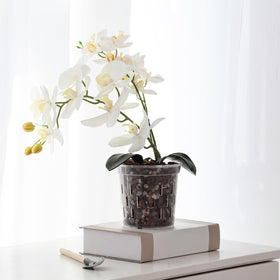 TRUEDAYS orchid pots suitable for indoor and outdoor environments