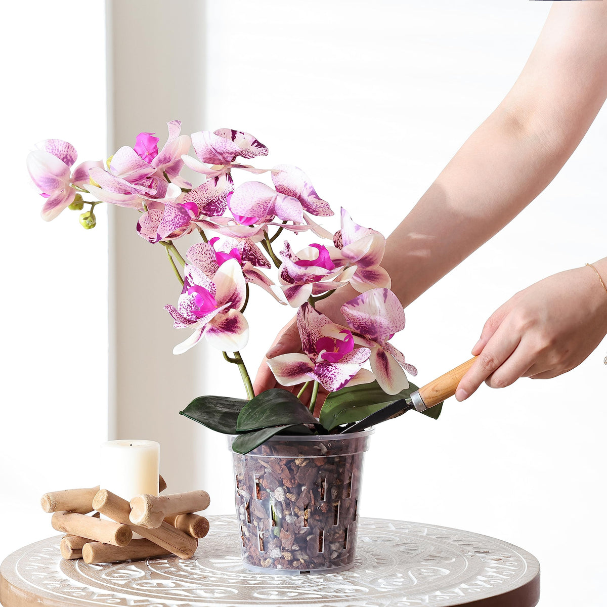 TRUEDAYS orchid pot suitable for indoor and outdoor use.