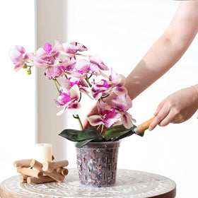 TRUEDAYS orchid pot suitable for indoor and outdoor use.
