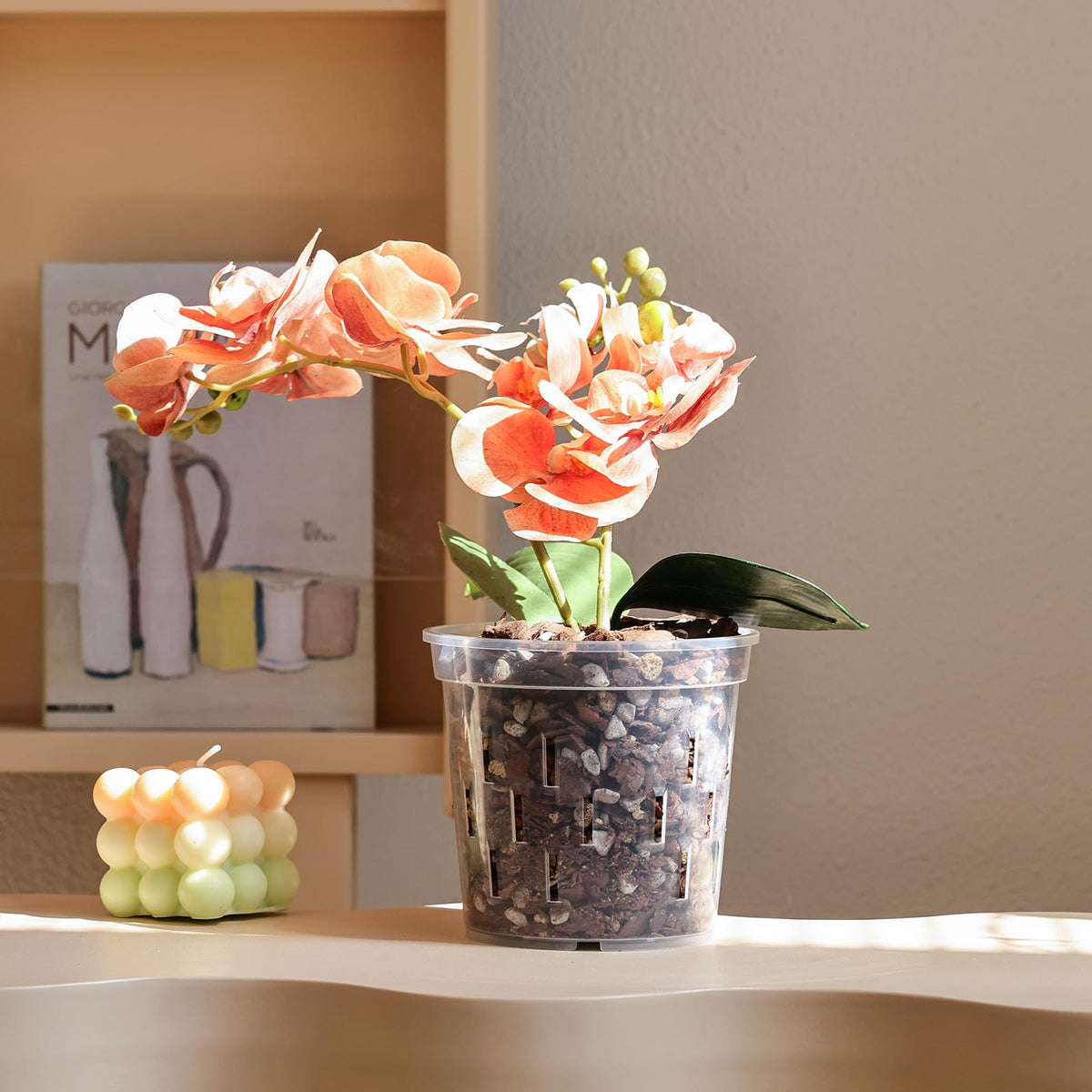 TRUEDAYS orchid pot liner for decorative ceramic planters.
