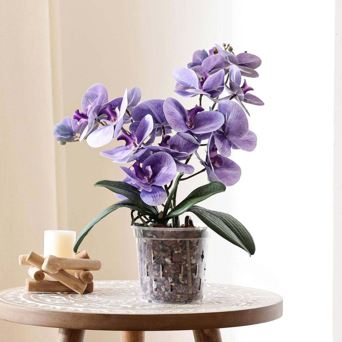 TRUEDAYS orchid pot liner fits decorative ceramic planters