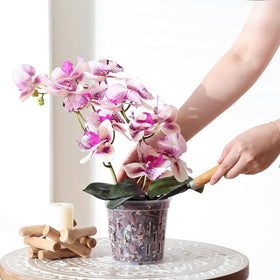 TRUEDAYS orchid pot liner-compatible design for decorative pots