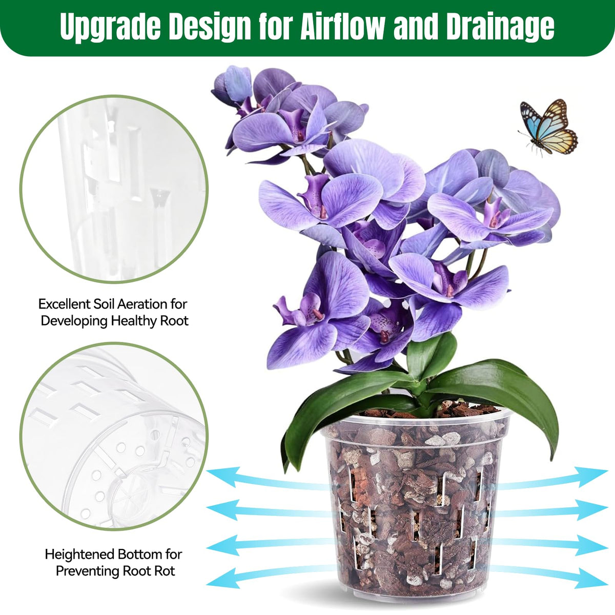 TRUEDAYS clear orchid pot enables quick root observation and moisture checks.