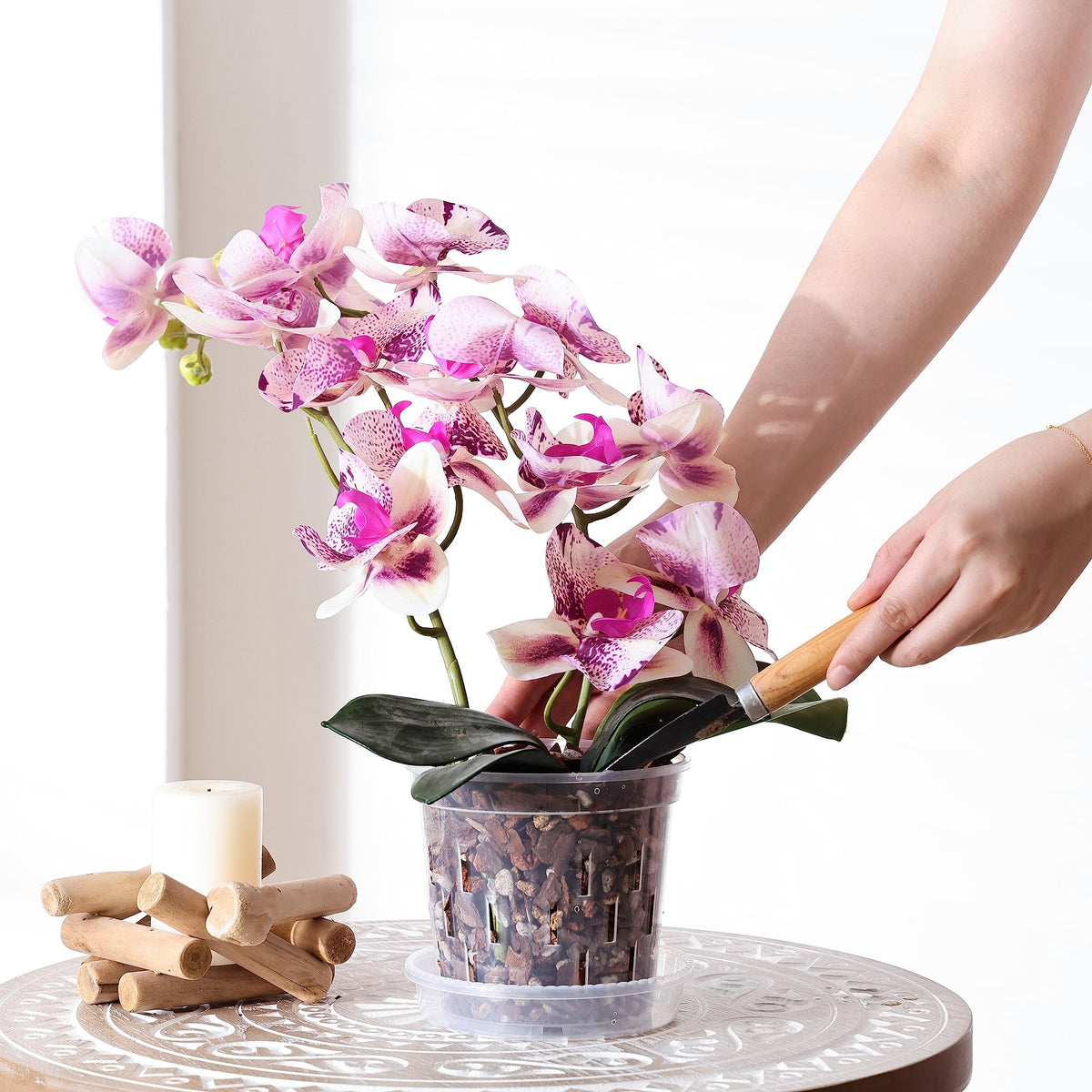 TRUEDAYS UV-protected resin orchid pot built for outdoor durability