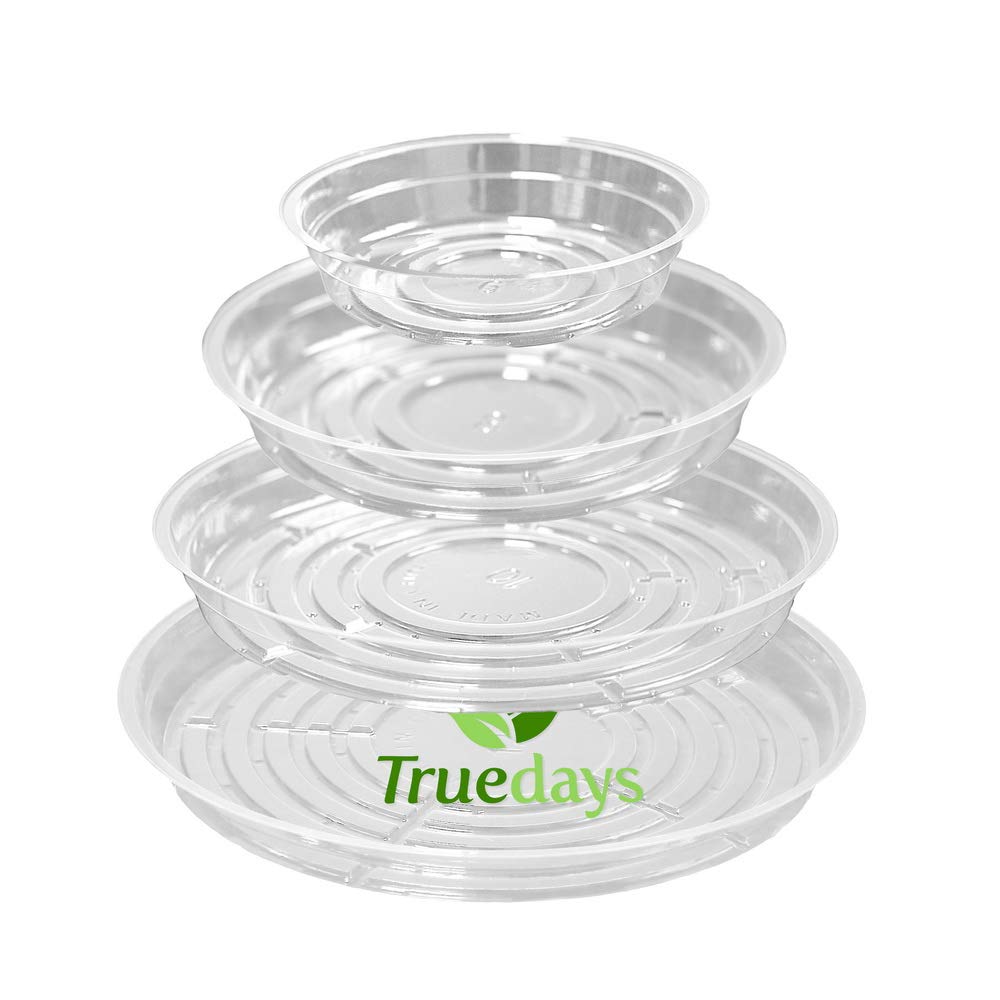 TRUEDAYS plant saucers 6inch clear tray catching excess water to protect surfaces.
