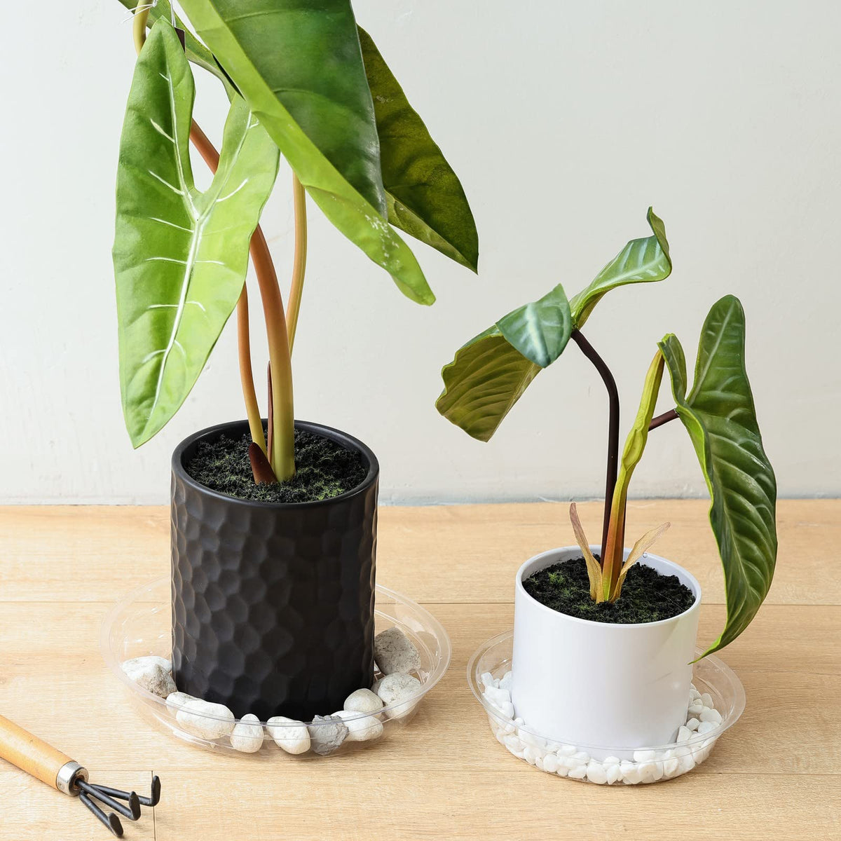 TRUEDAYS plant saucers 8inch clear provides a stable base for indoor plants.