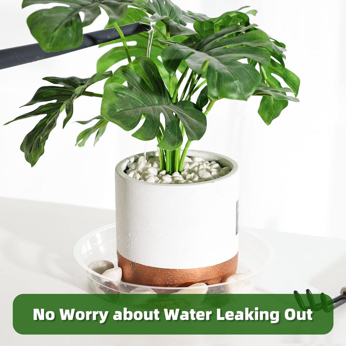 TRUEDAYS plant saucers catch drips on carpet to prevent mess.