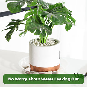 TRUEDAYS plant saucers catch drips on carpet to prevent mess.