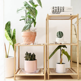 TRUEDAYS plant saucers pack-shot showing 20-pack for versatile plant setups.