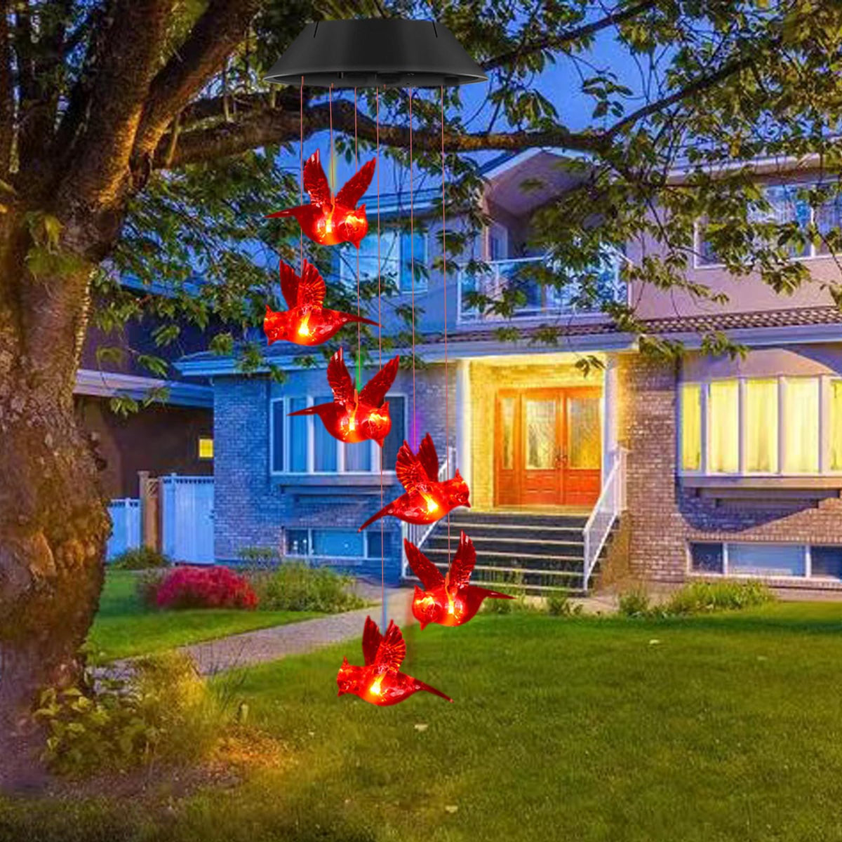 TSIPEKLO Red cardinal light provides mood lighting for patios