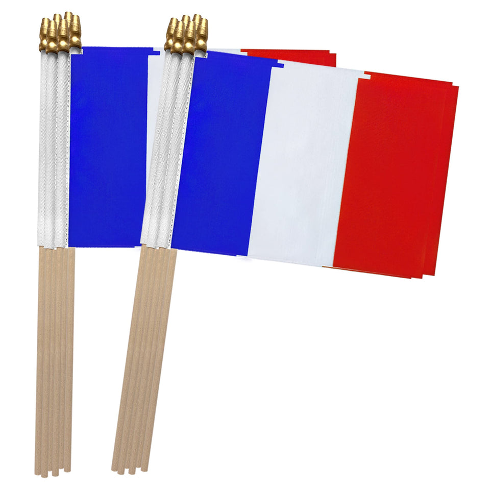 TSMD France flag 5x8 inch front view with durable polyester fabric.