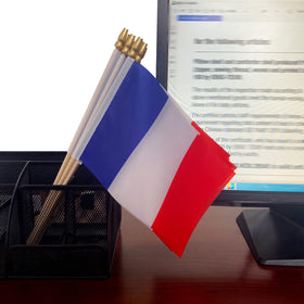 TSMD France flag used on desk or garden decor for celebration.