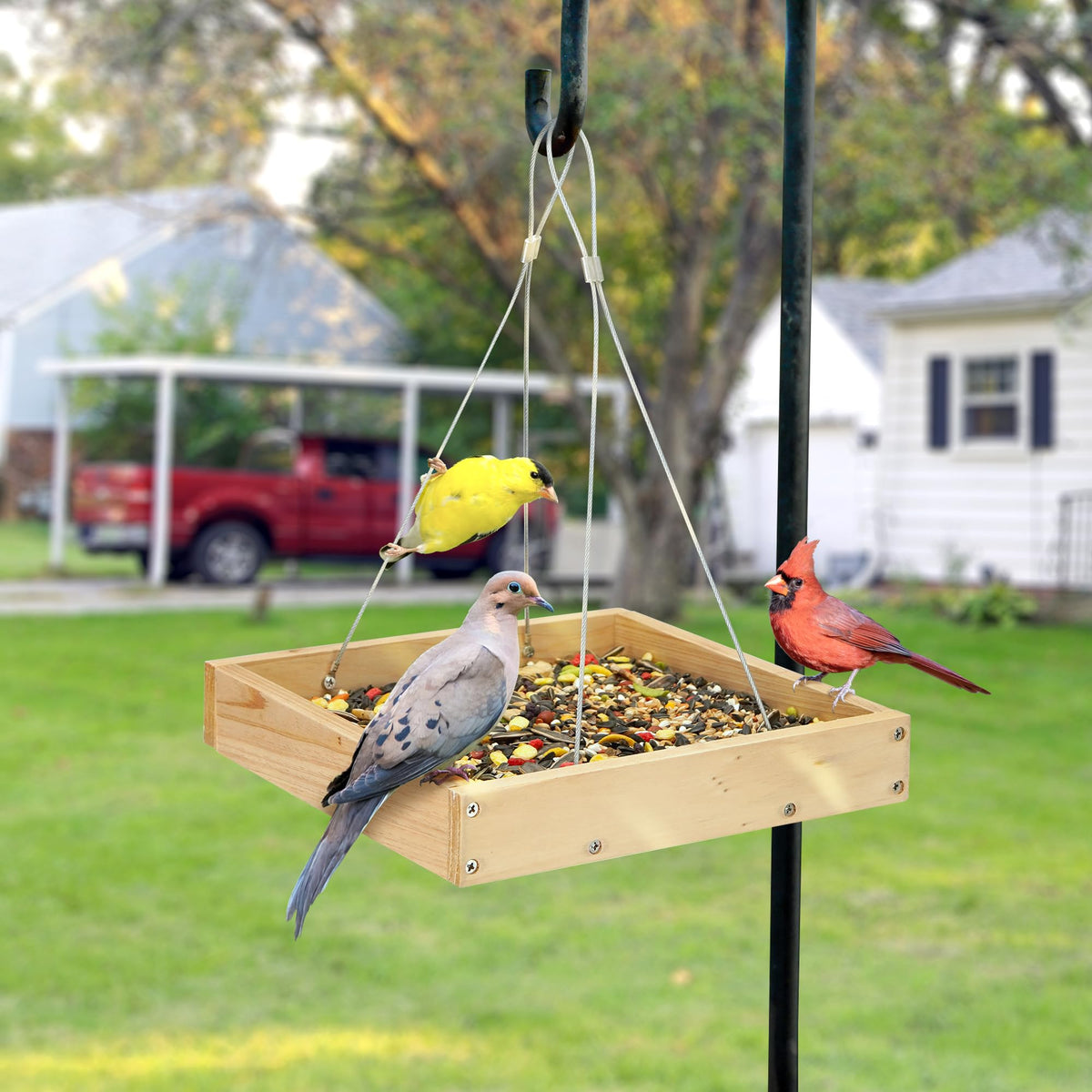 TT Nature Platform Bird Feeder garden display invites birds year-round without crowding.