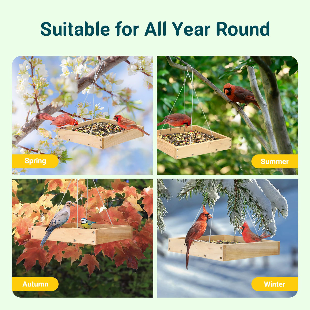 TT Nature Platform Bird Feeder ready-to-hang design simplifies setup for gardens.