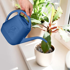 TTAOE GN packaging image suggests blue can ready for gifting
