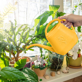 TTAOE GN orange watering can suitable for indoor and outdoor plant care.