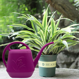 TTAOE GN Plant Watering Can indoor outdoor versatility