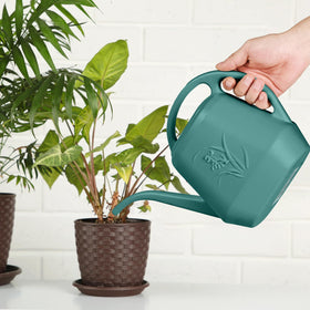 TTAOE GN ideal for herbs and small pots with gentle watering.