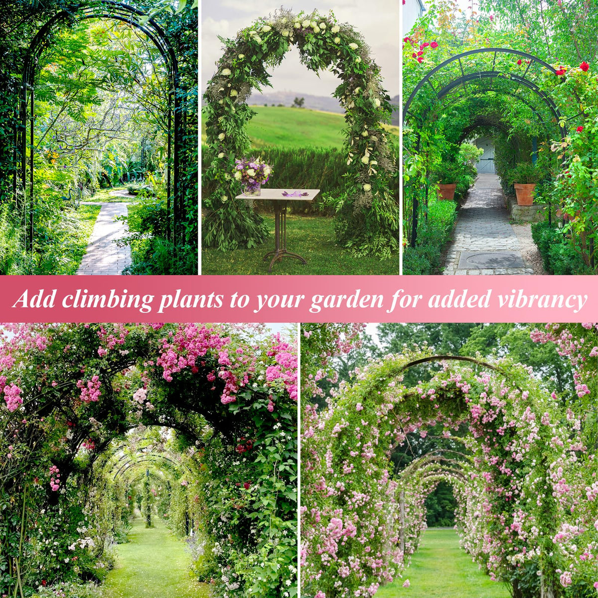 Ttootle wedding arch decor creates an elegant ceremony backdrop.