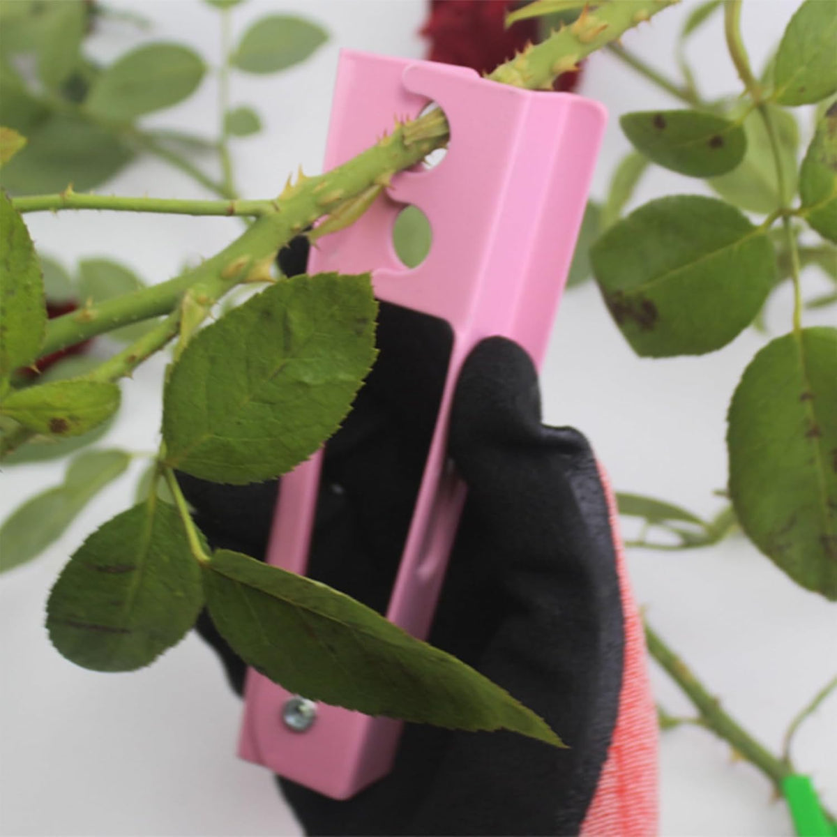 T TOVIA plastic rose thorn remover eases thorn-free stems.