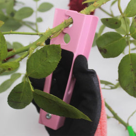 T TOVIA plastic rose thorn remover eases thorn-free stems.
