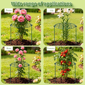 TTQ heavy-fruit tomato support helps vertical growth