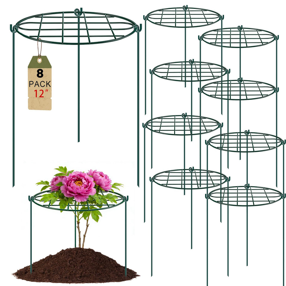 TTQ peony cages with ring-top design for upright growth