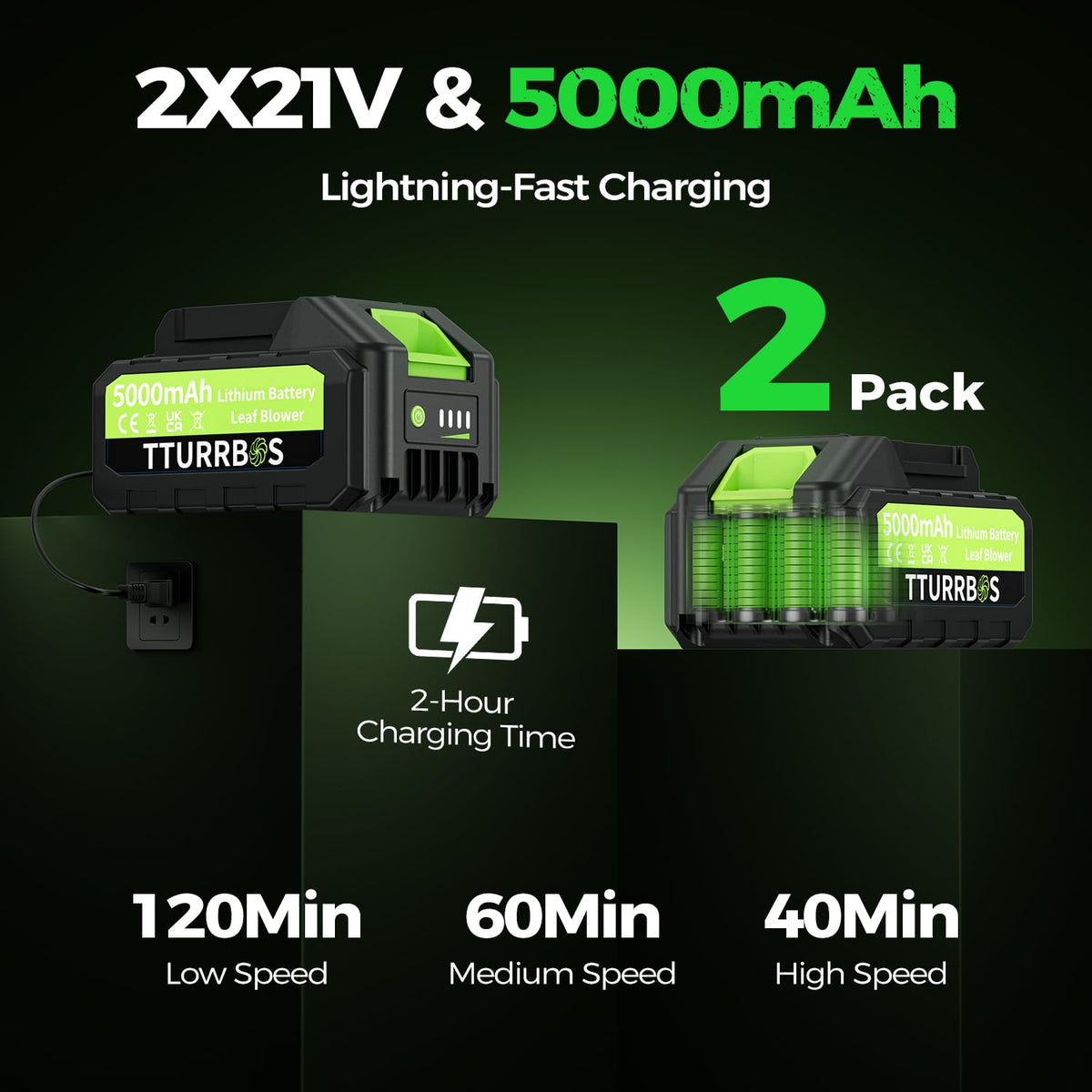 Tturrbos fast charger powers the blower in just a few hours.